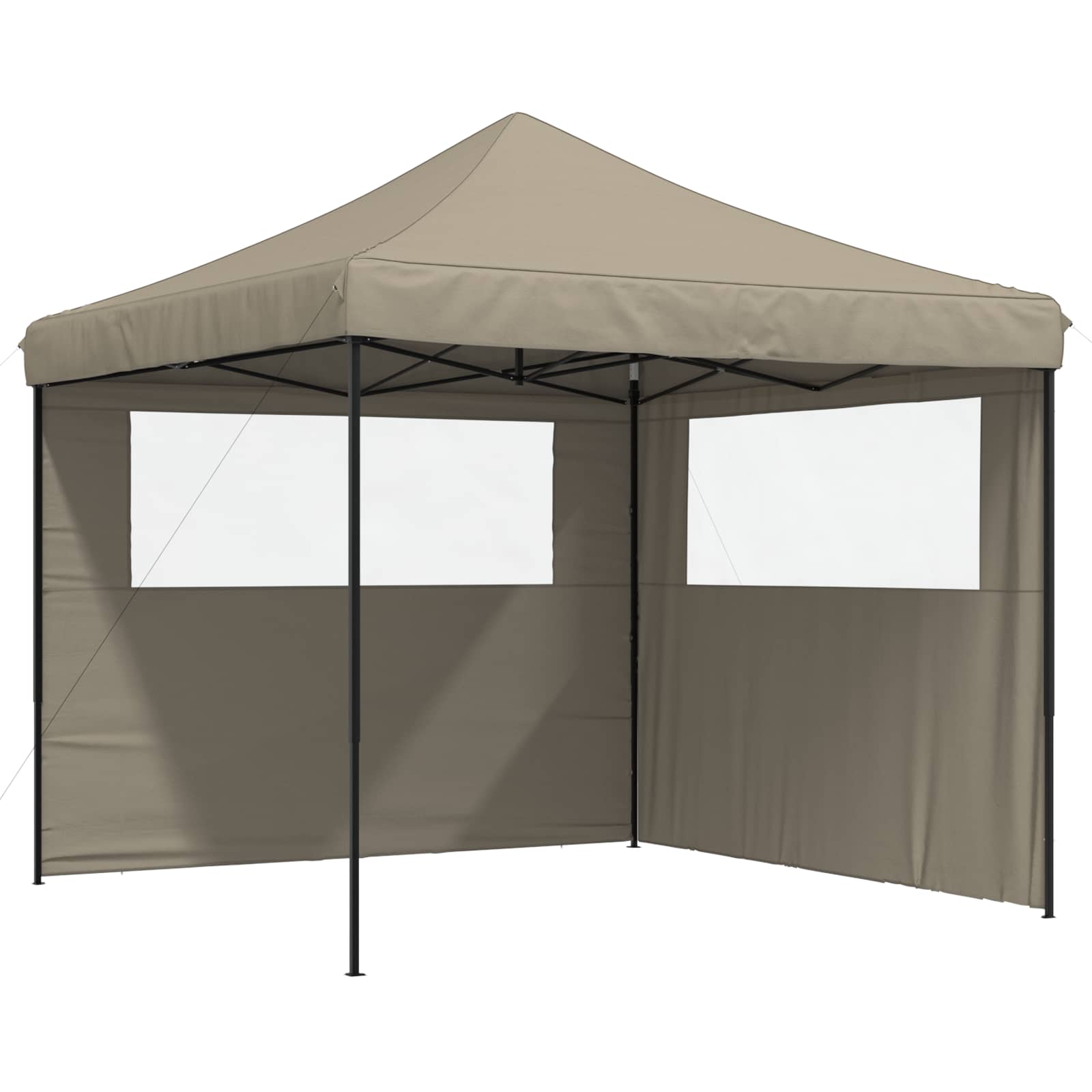 Partyzelt Faltbar Pop-Up Schwarz 292x292x315 cm