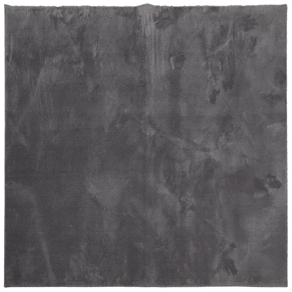 Teppich HUARTE Kurzflor Weich und Waschbar Anthrazit 60x110 cm