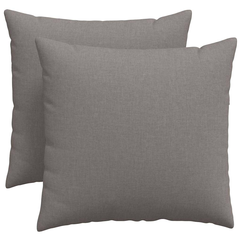 Sofakissen 2 pcs Hellgrau 50 x 30 cm Stoff