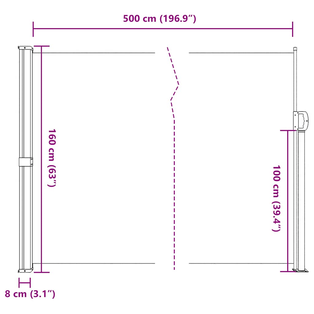 Seitenmarkise Ausziehbar Schwarz 100x300 cm