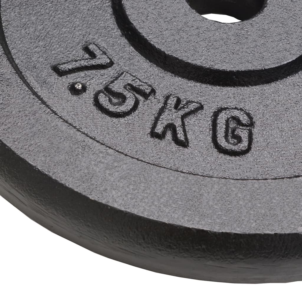 Hantelscheibe 40 kg Gusseisen
