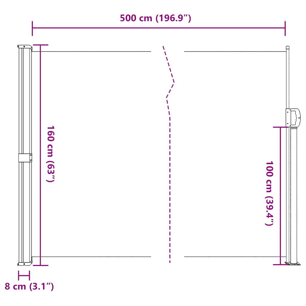 Seitenmarkise Ausziehbar Schwarz 100x300 cm