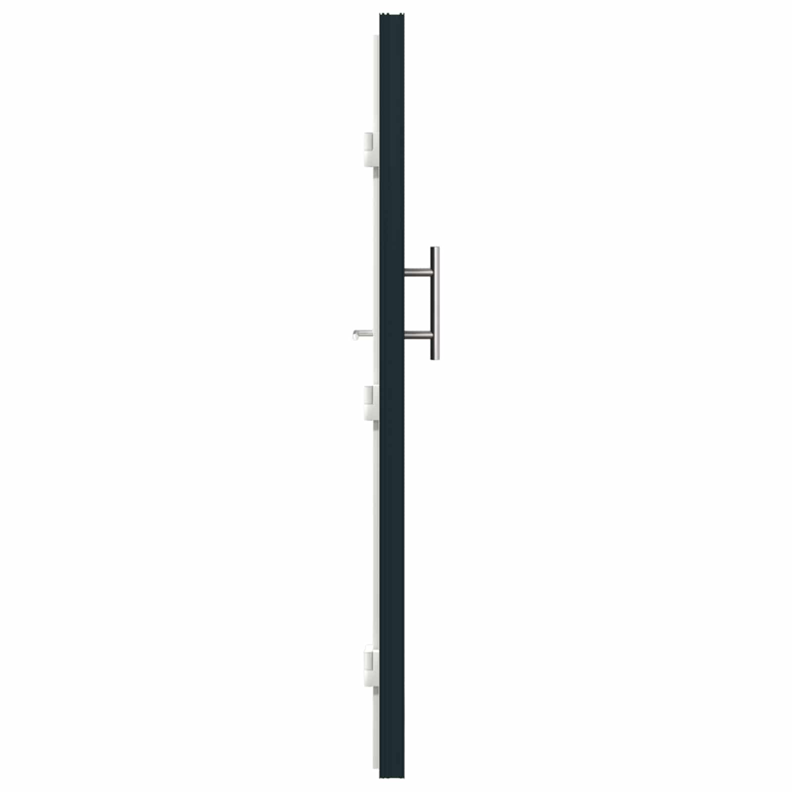 Vordertür Anthrazit 88 x 200 cm PVC