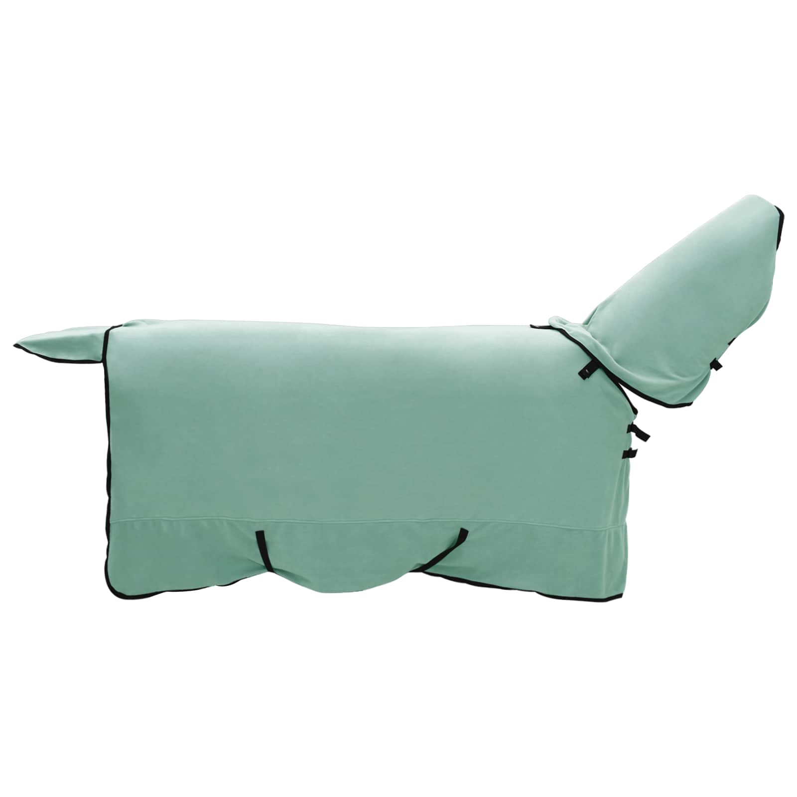 Pferdedecke Volles Aqua 75 cm Polyester