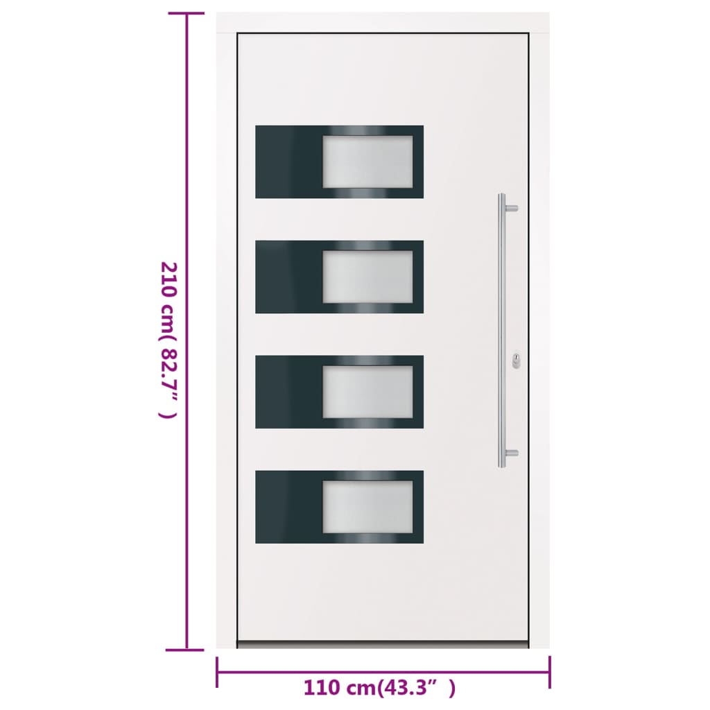 Haustür Anthrazit 100x210 cm Aluminium und PVC
