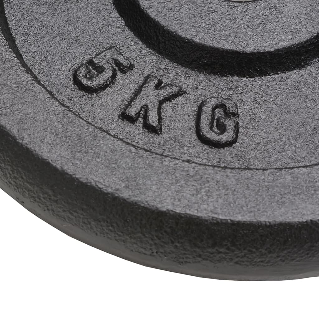 Hantelscheibe 40 kg Gusseisen