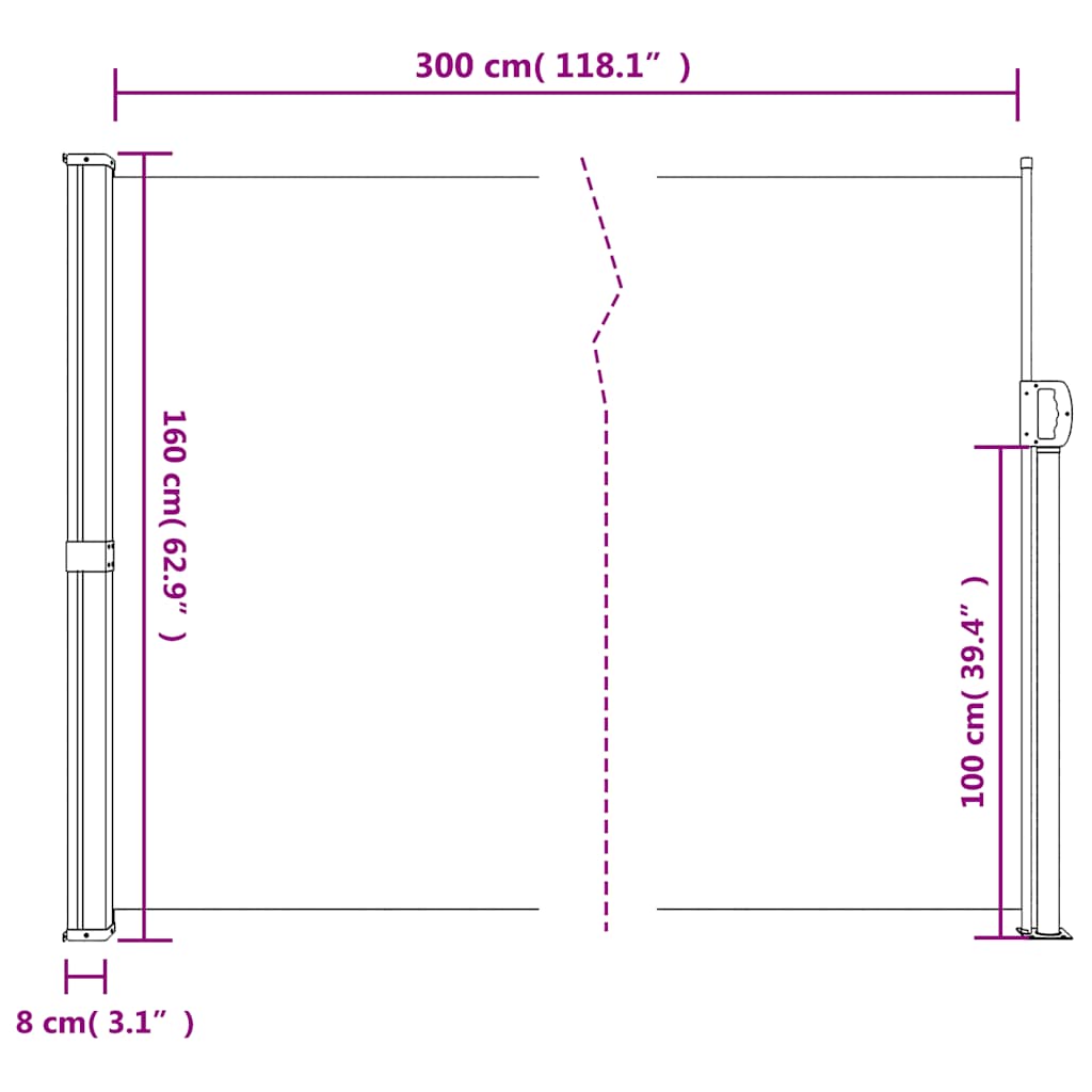 Seitenmarkise Ausziehbar Schwarz 100x300 cm