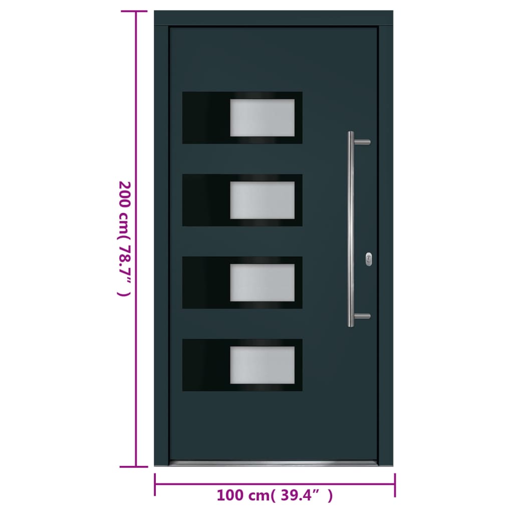 Haustür Anthrazit 100x210 cm Aluminium und PVC