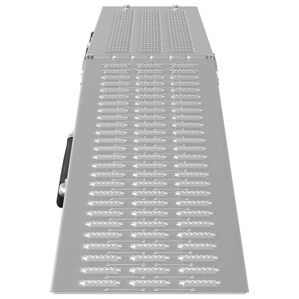 Faltbare Rampe 200kg pro Rampe 2 pcs Silber 166 x 23 x 4,5 cm