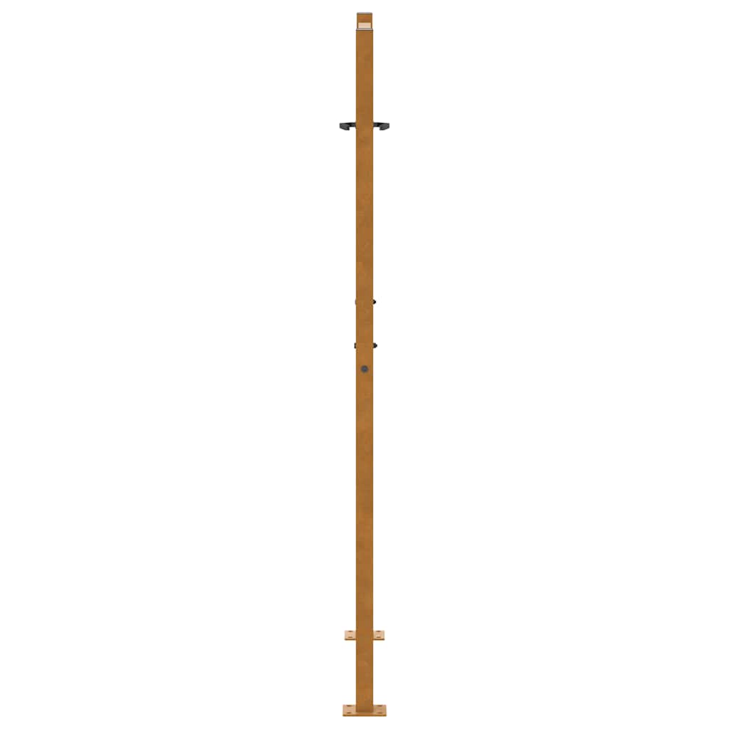 Gartentor Schwarz 100x100 cm Stahl Lichtdesign