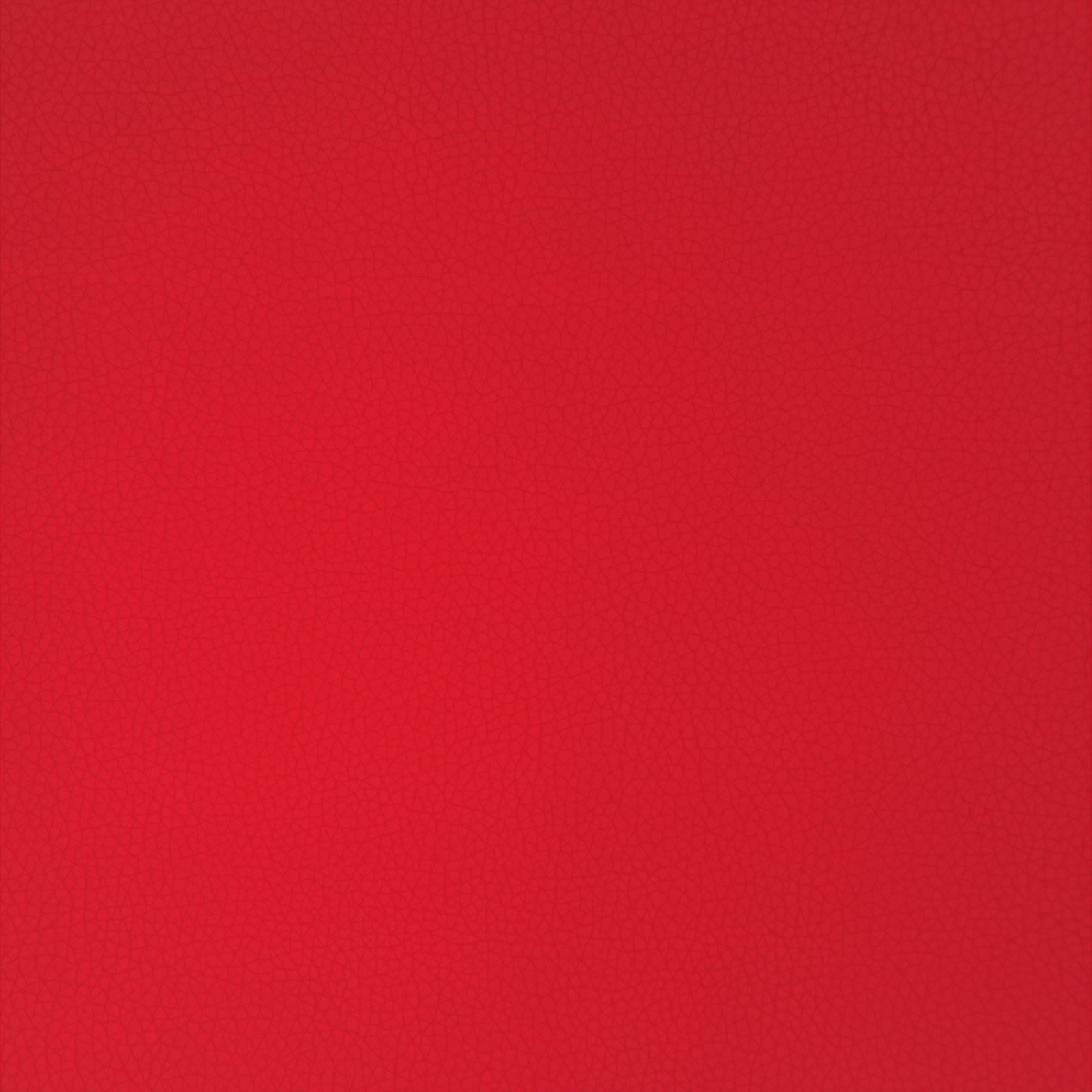 Gepolsterte Bank mit Rückenlehne Creme 110 x 60 x 76 cm