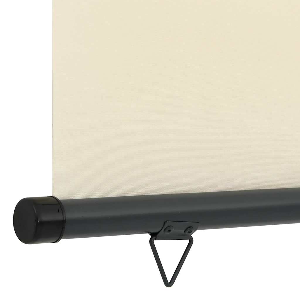 Balkon Seitenmarkise 60 x 250 cm 100% Polyester Eisen Stahl