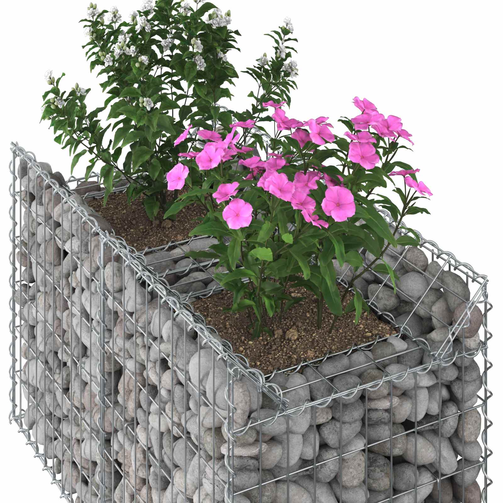 Gabionen-Hochbeet 2 pcs Silber