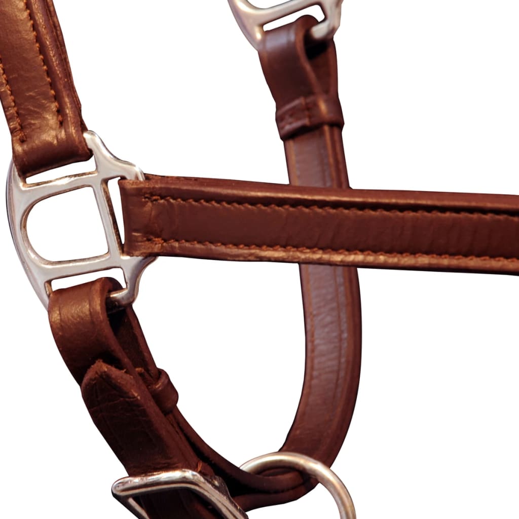 Echtleder Halfter Stallhalfter verstellbar braun Pony