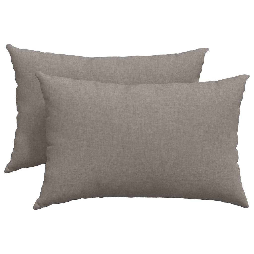 Sofakissen 2 pcs Hellgrau 50 x 30 cm Stoff