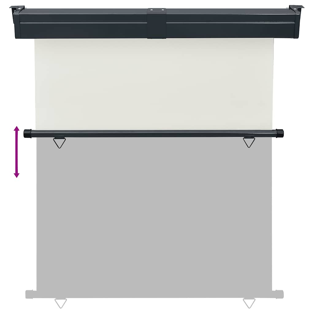 Balkon Seitenmarkise 60 x 250 cm 100% Polyester Eisen Stahl