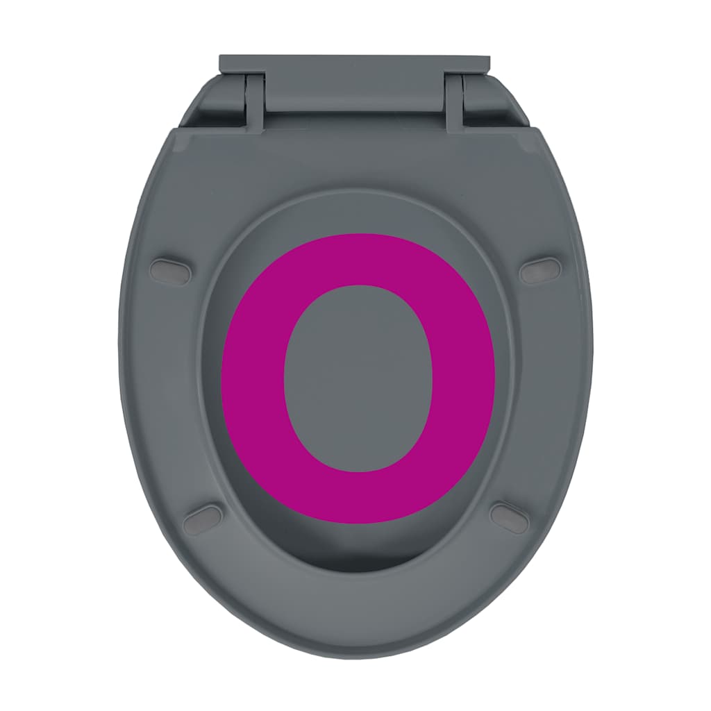 Toilettensitz mit Absenkautomatik Hellgrau Oval